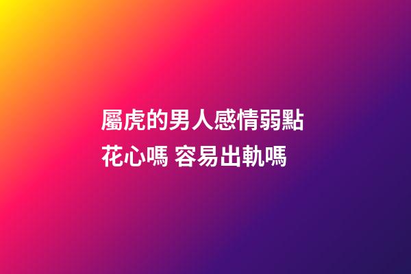 屬虎的男人感情弱點 花心嗎 容易出軌嗎
